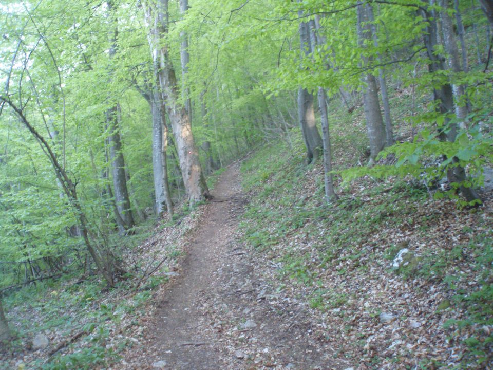 Stolpnik all round, 01.05.2012 - foto povečava