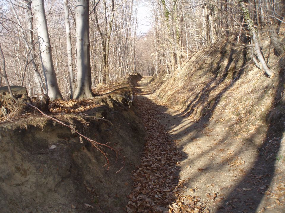 Jelovice MTB, 17.03.2012 - foto povečava