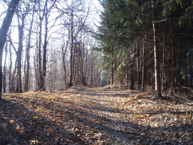 Jelovice MTB, 17.03.2012 - foto