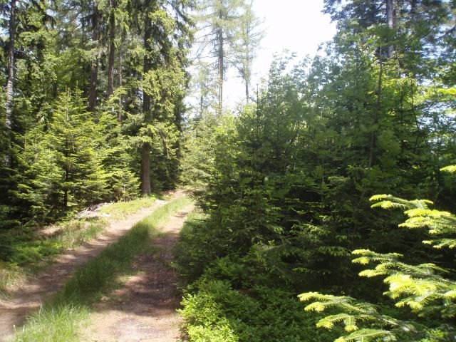 Šipek MTB, 20.05.2012 - foto