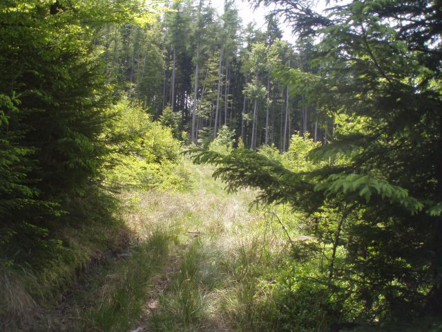 Šipek MTB, 20.05.2012 - foto