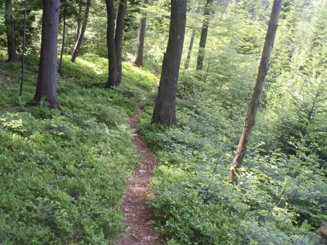 Šipek MTB, 20.05.2012 - foto