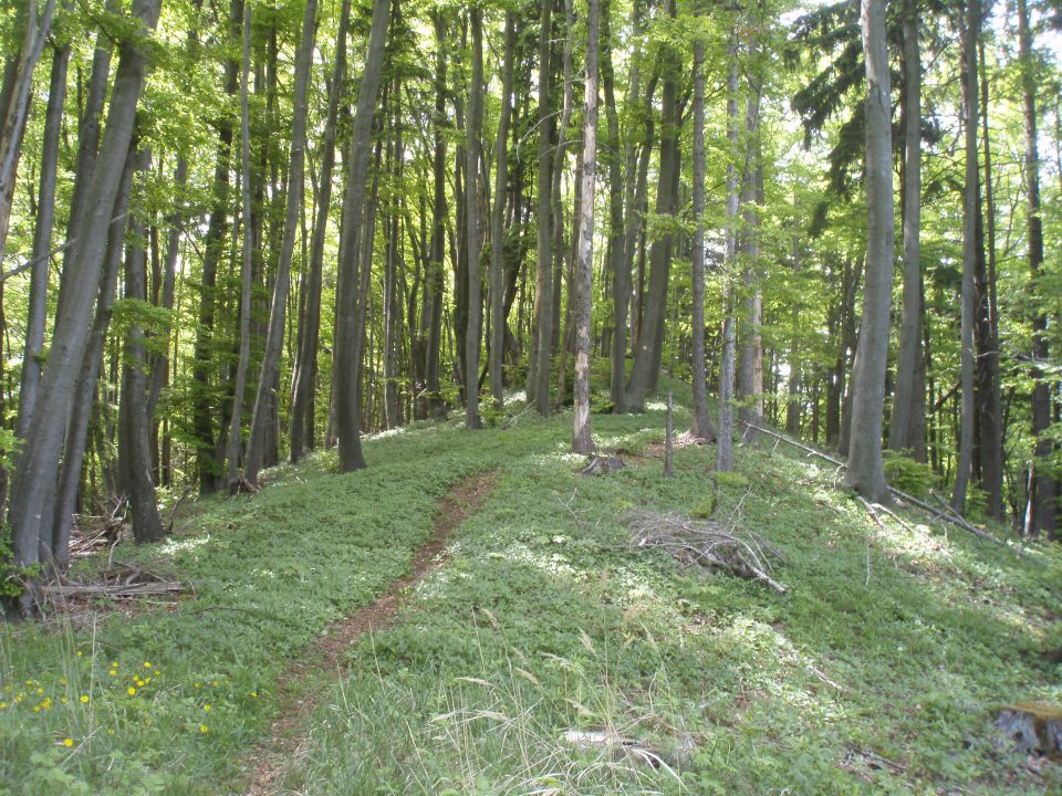 Šipek MTB, 20.05.2012 - foto povečava