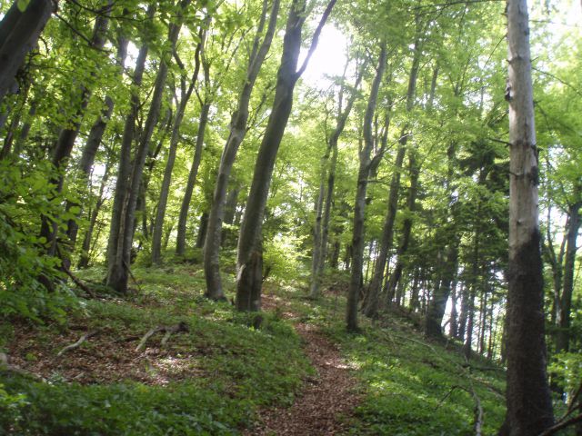 Šipek MTB, 20.05.2012 - foto