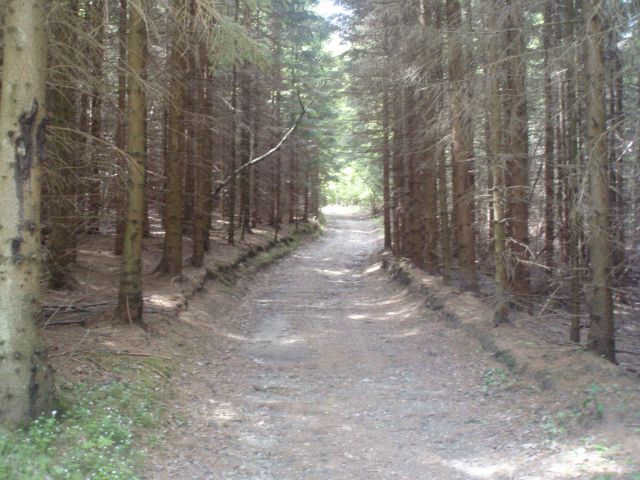 Šipek MTB, 20.05.2012 - foto