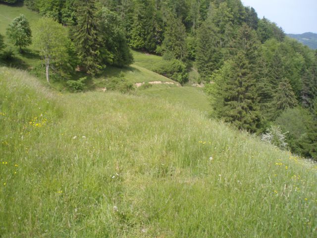 Šipek MTB, 20.05.2012 - foto