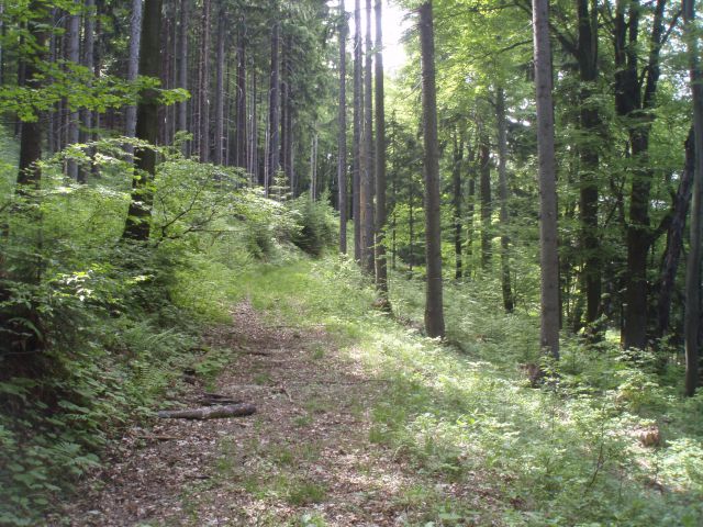 Šipek MTB, 20.05.2012 - foto