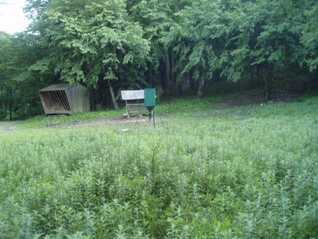 Boč iz Studenic - RTV stolp, 07.06.2012 - foto