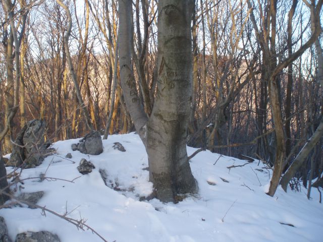 Dreveniška gora 782 m.n.v., 23.12.2011 - foto