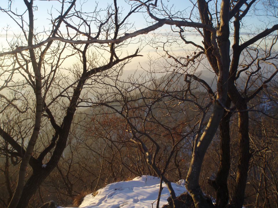 Dreveniška gora 782 m.n.v., 23.12.2011 - foto povečava
