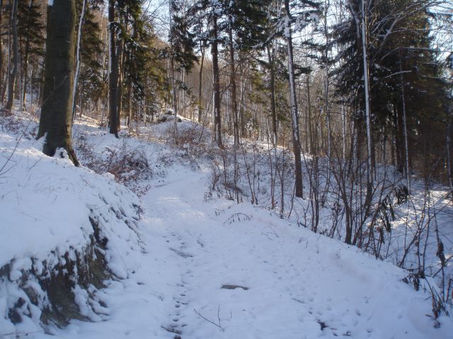 Dreveniška gora 782 m.n.v., 23.12.2011 - foto