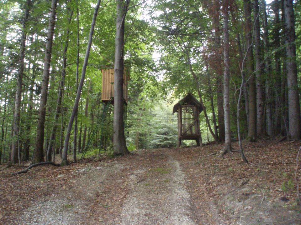 Boč/Stavski vrh 777 m.n.v. MTB. 26.08.2012 - foto povečava