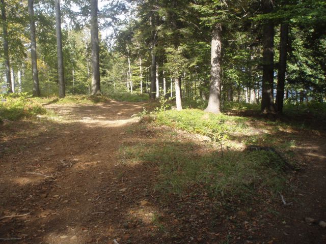 Velika & Mala Kopa/Boč MTB, 16.09.2012 - foto