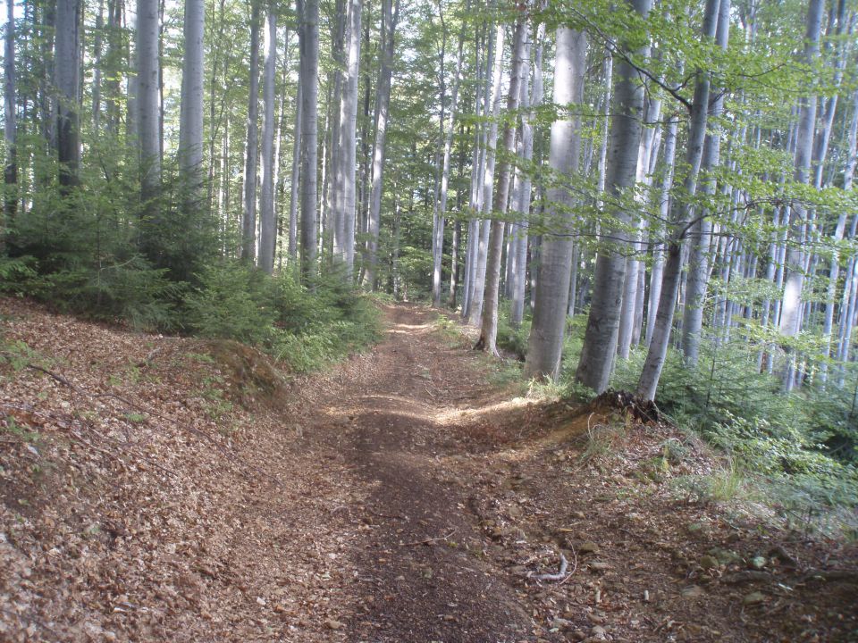 Velika & Mala Kopa/Boč MTB, 16.09.2012 - foto povečava