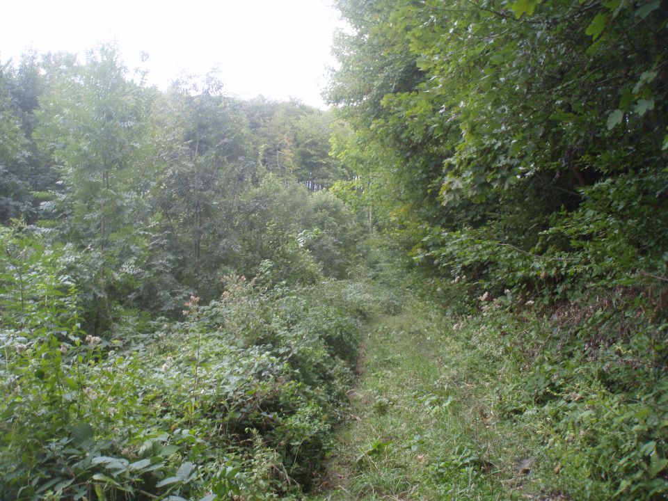 Velika & Mala Kopa/Boč MTB, 16.09.2012 - foto povečava