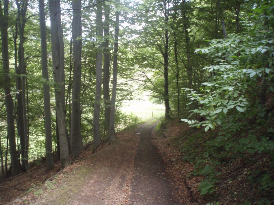 Velika & Mala Kopa/Boč MTB, 16.09.2012 - foto povečava