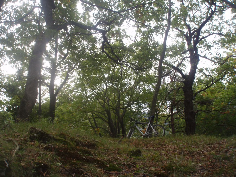 Dedni vrh in Sv. Ana via Boč MTB, 30.09.2012 - foto povečava