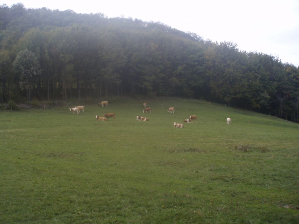 Dedni vrh in Sv. Ana via Boč MTB, 30.09.2012 - foto povečava