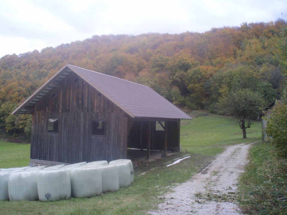 Zalonč 523 m.n.v., 04.11.2012 - foto povečava