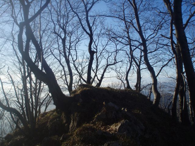 Dreveniška gora  nad rastiščem velikonočnic na Boču in pred zahodom sonca...