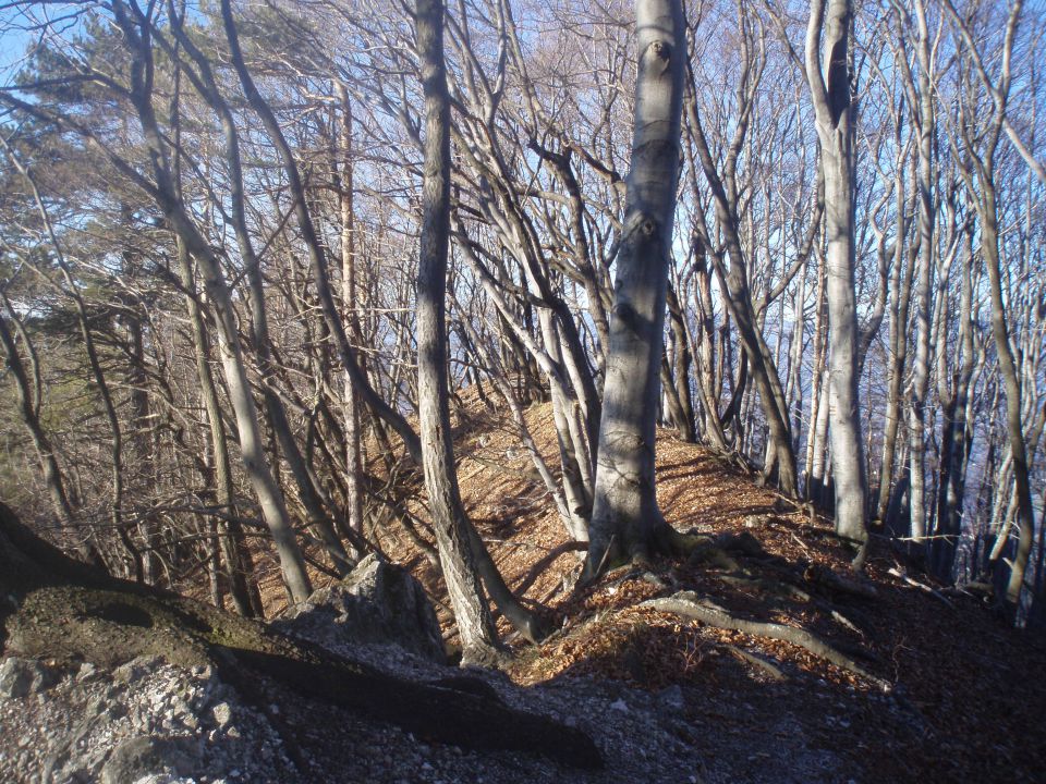 Boč/Zadraga, 31.12.2012 - foto povečava