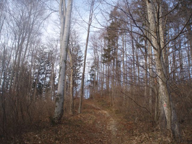 Rudnica, 05.01.2013 - foto