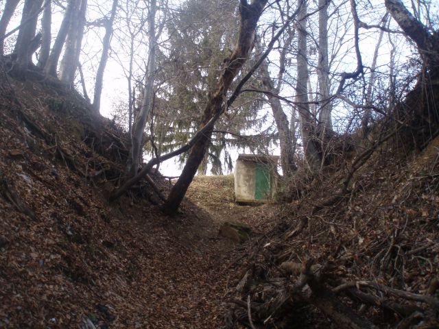 Pohorje nad Framom, 12.01.2013 - foto