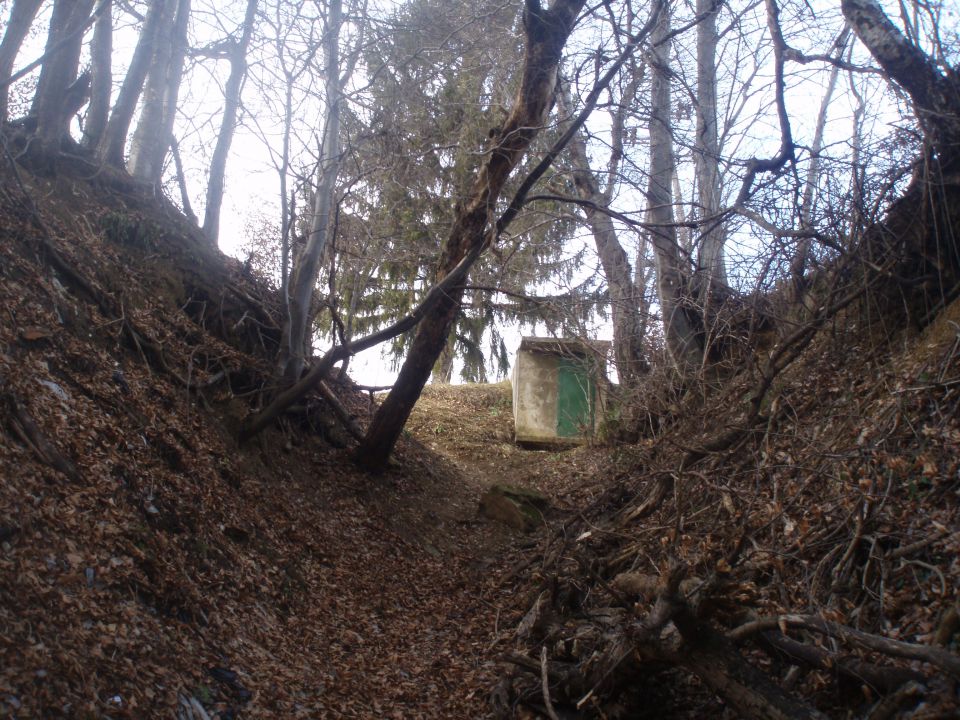 Pohorje nad Framom, 12.01.2013 - foto povečava