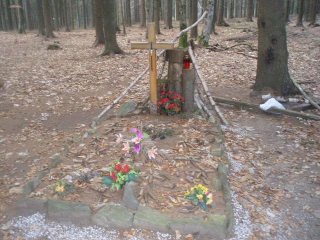 Pohorje nad Framom, 12.01.2013 - foto