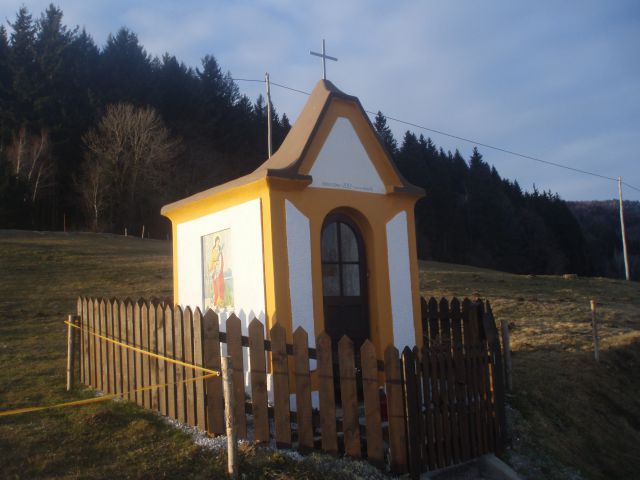 Pohorje nad Framom, 12.01.2013 - foto