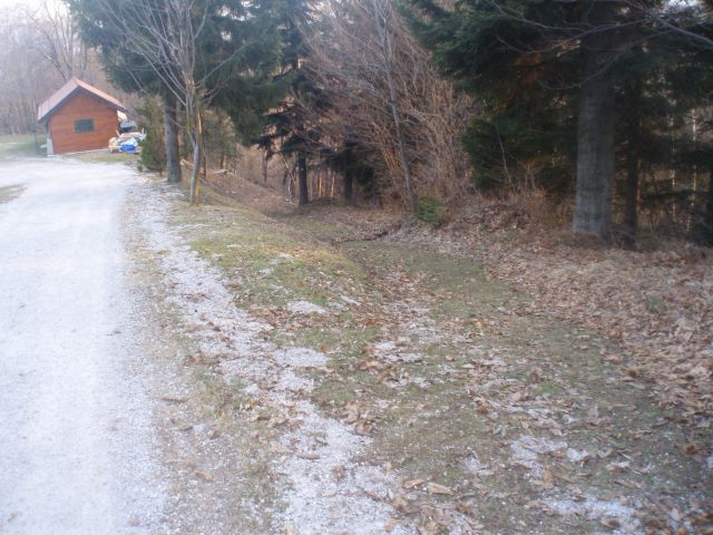 Pohorje nad Framom, 12.01.2013 - foto