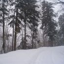 ...gaz je bila ,,bolj slabotna,,...
