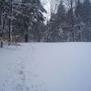 ...gaz so zastavili drugi...