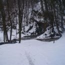 ...studeniški izviri ,,so polni vode,, in še več v odjugi...