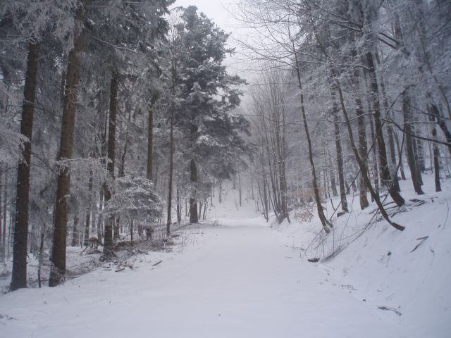 Boč/Resenca, 24.03.2013 - foto