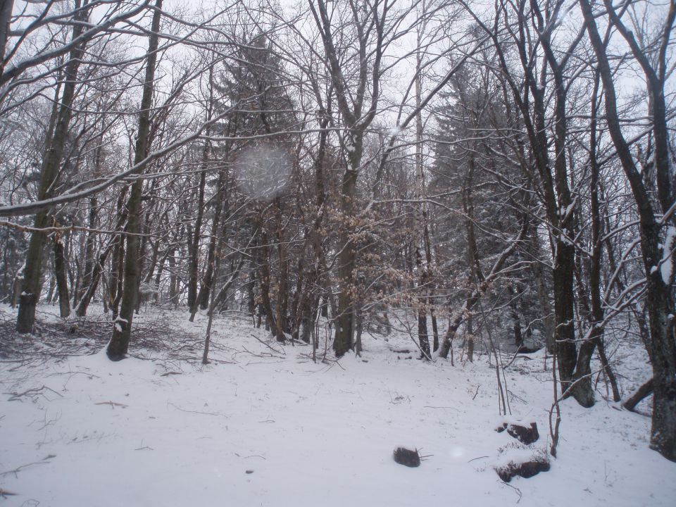 Boč/Resenca, 24.03.2013 - foto povečava