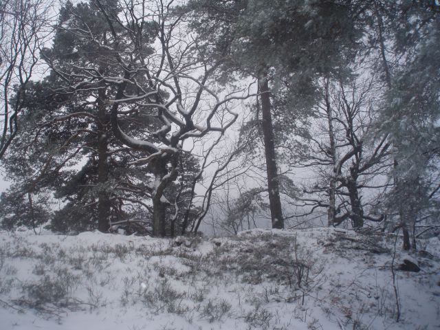 Boč/Resenca, 24.03.2013 - foto