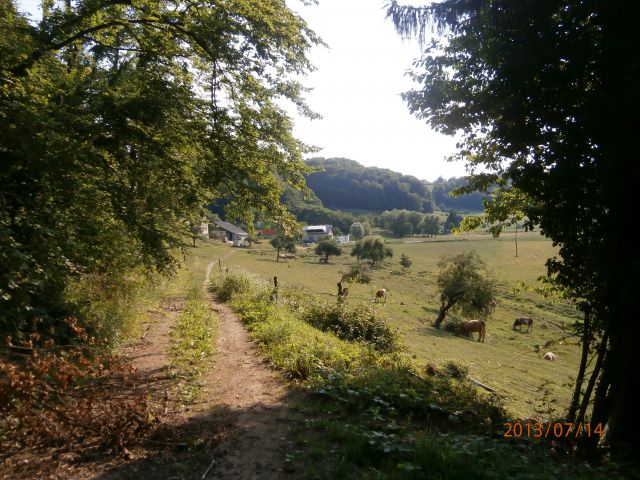 ...Penoje in živina na poldanski paši...