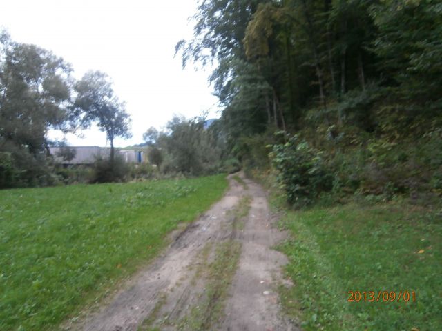...v kombinaciji gozdne poti in asfaltne ceste spust navzdol in že ob Dravinji...