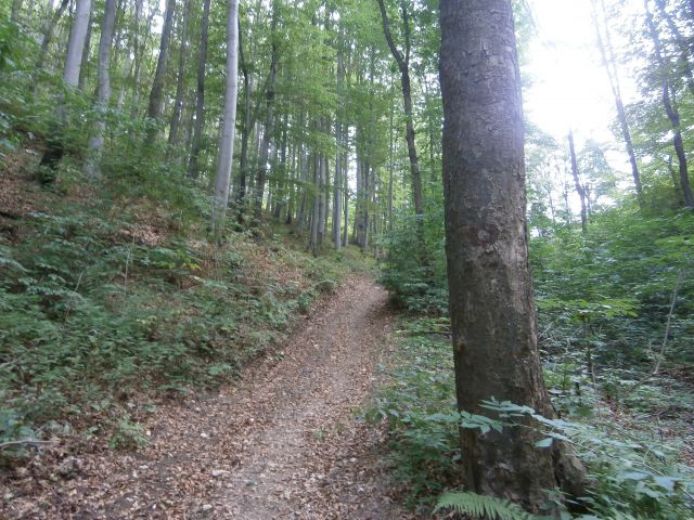 Štore - Celje preko Žlajfe, 08.09.2013 - foto