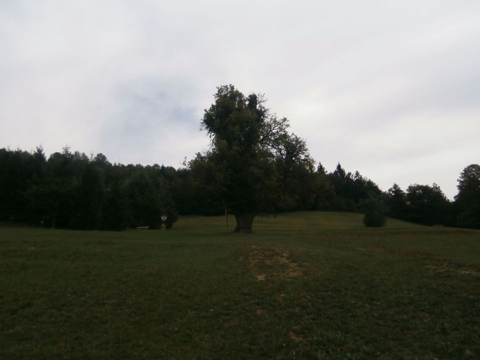 Štore - Celje preko Žlajfe, 08.09.2013 - foto povečava