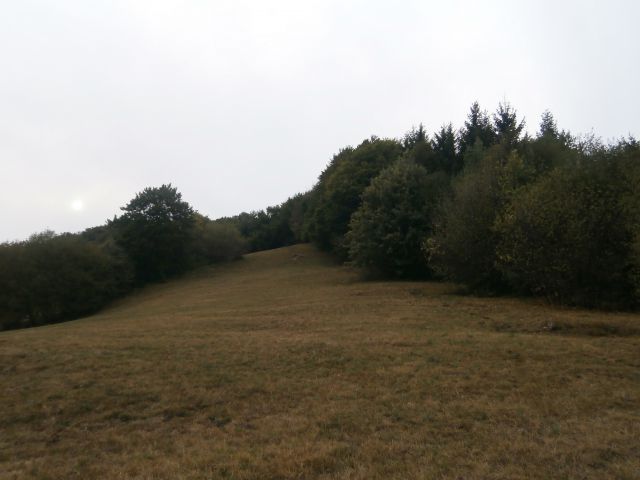 Štore - Celje preko Žlajfe, 08.09.2013 - foto