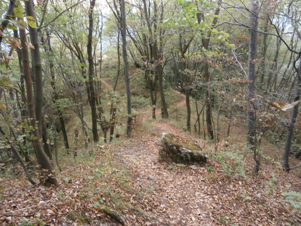 Štore - Celje preko Žlajfe, 08.09.2013 - foto povečava