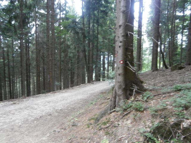 Štore - Celje preko Žlajfe, 08.09.2013 - foto