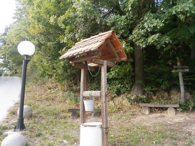 Celje - Tremerje - Celje, 21.09.2013 - foto