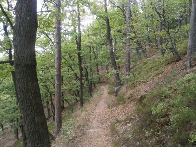 Celje - Tremerje - Celje, 21.09.2013 - foto