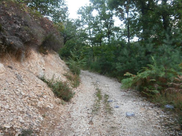 Celje - Tremerje - Celje, 21.09.2013 - foto