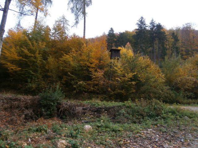 Rudnica/jugozahodni del, 20.10.2013 - foto