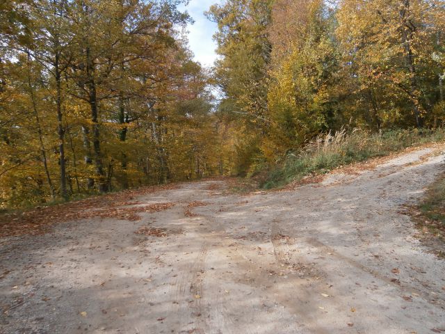 Rudnica/jugozahodni del, 20.10.2013 - foto