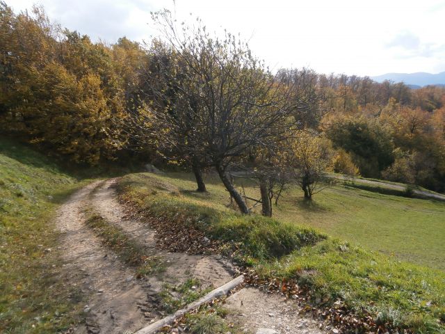 Rudnica/jugozahodni del, 20.10.2013 - foto